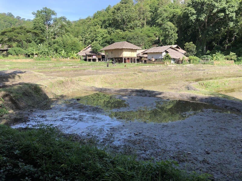 Chiang Mai
